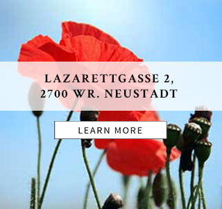 Lazarettgasse 2, 2700 Wiener Neustadt